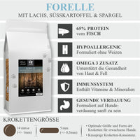 Lamers Black Label Light, Forelle mit Lachs, Süßkartoffel & Spargel