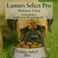 Lamers Molosser Giant (glutenfrei) Trockenfutter
