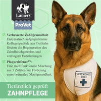 Lamers ProVet Zahnpflege
