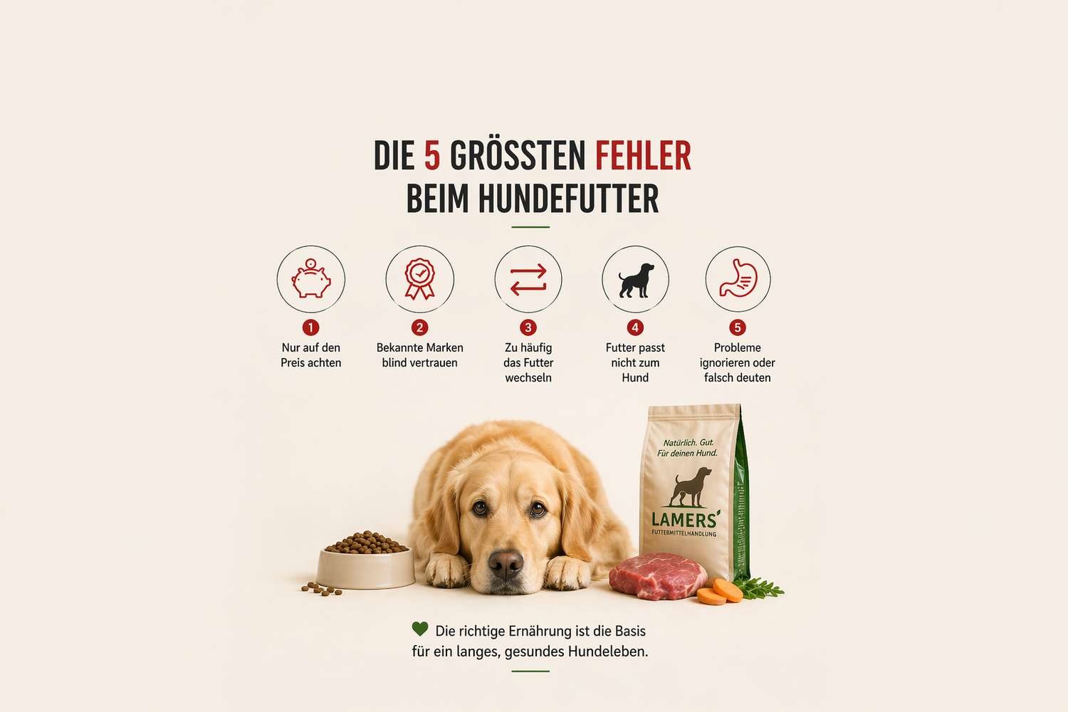 Die 5 größten Fehler beim Hundefutter (die fast jeder macht)