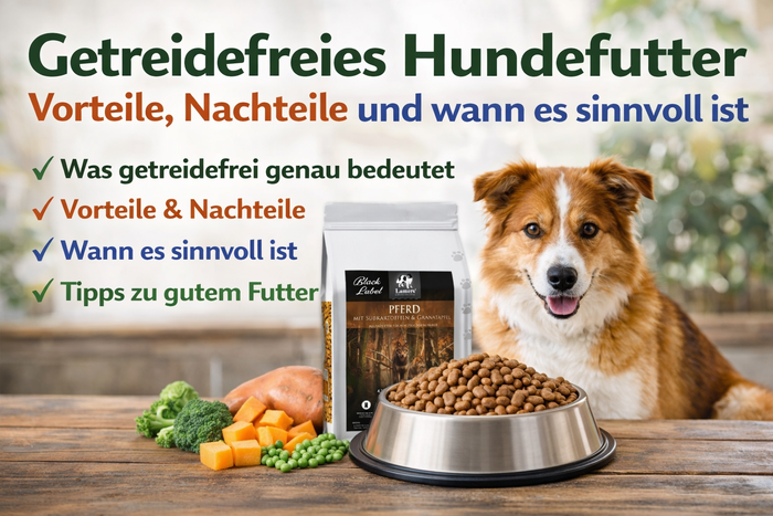 Ratgeber zur Auswahl von getreidefreiem Hundefutter