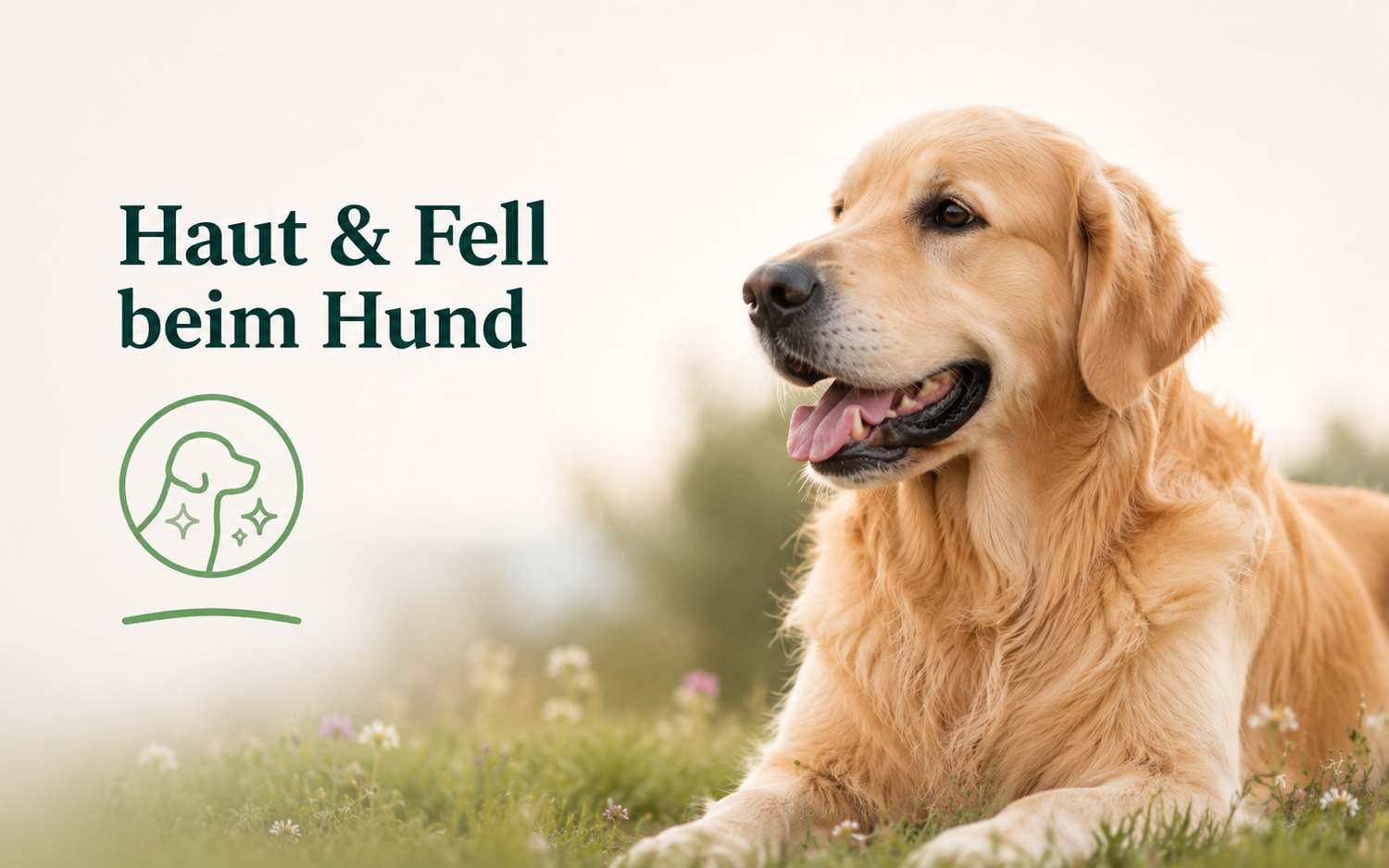 Haut und Fell beim Hund unterstützen
