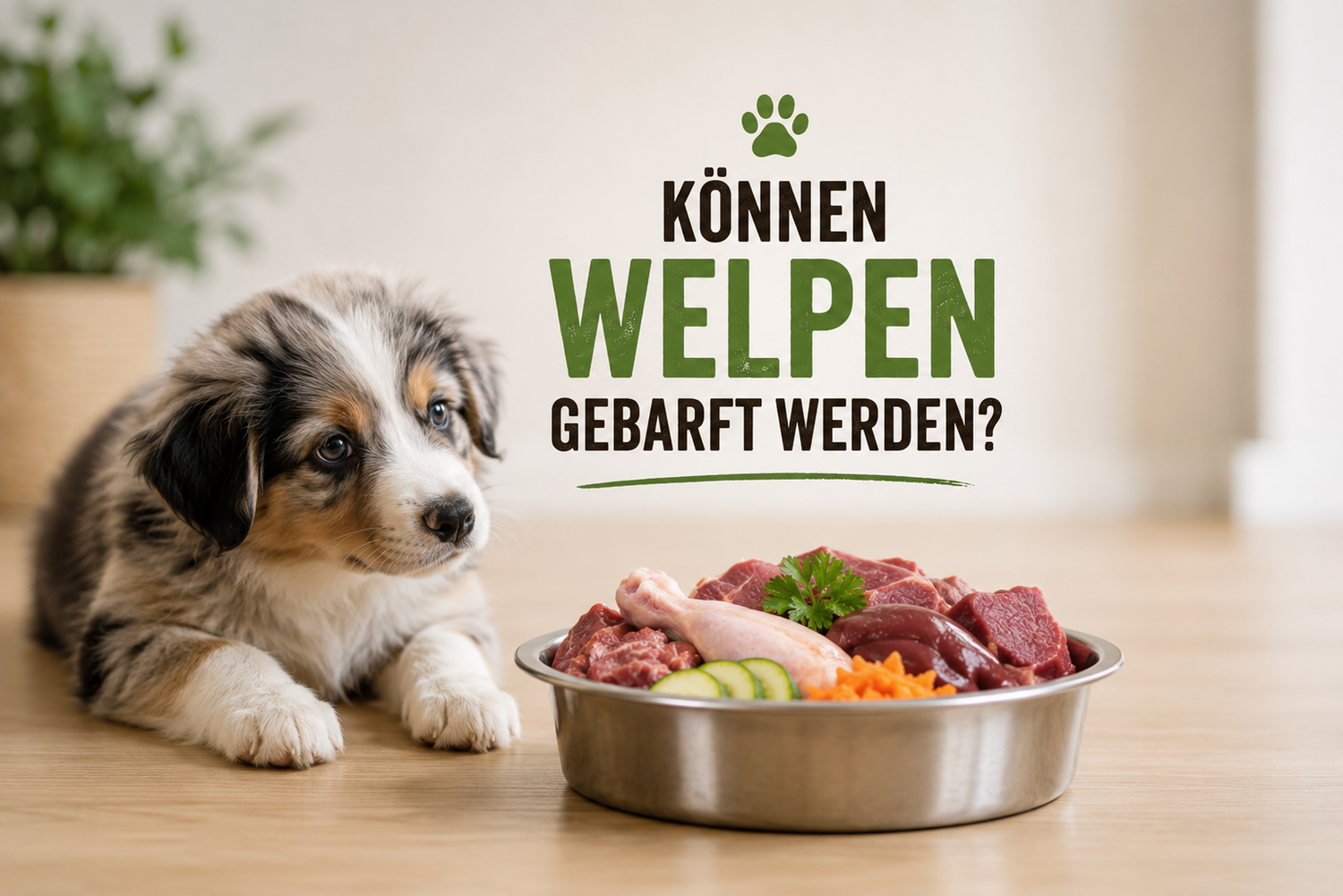 Können Welpen gebarft werden