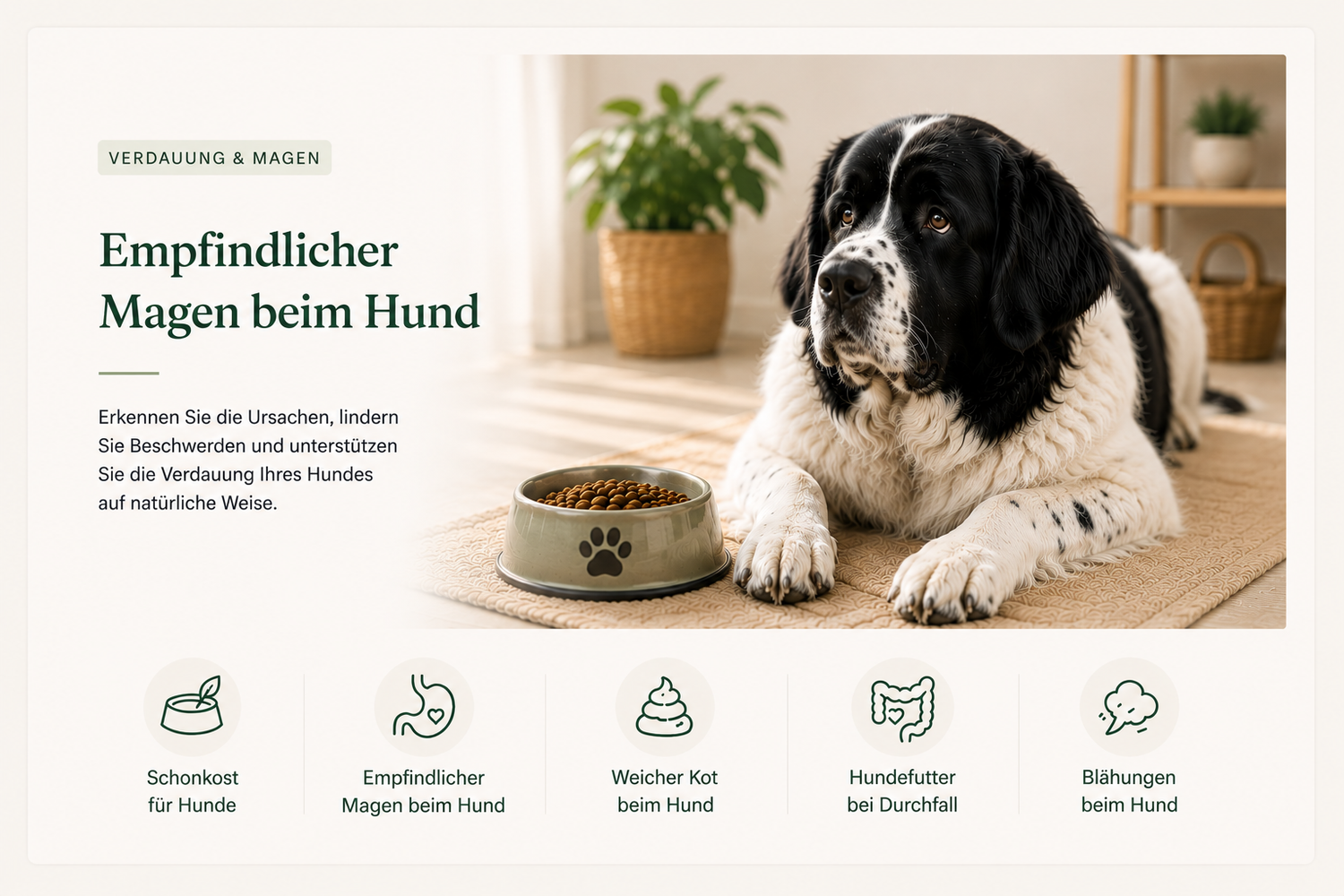 empfindlicher Magen Hund Lamers