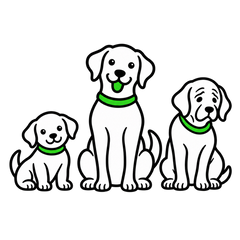 Welpe, erwachsener Hund und Senior als Symbol für Trockenfutter in jeder Lebensphase
