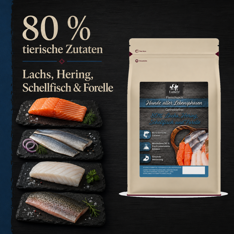 Lamers Fleischsack 80 % tierische Zutaten: Beutel neben rohem Lachs, Hering, Schellfisch und Forelle
