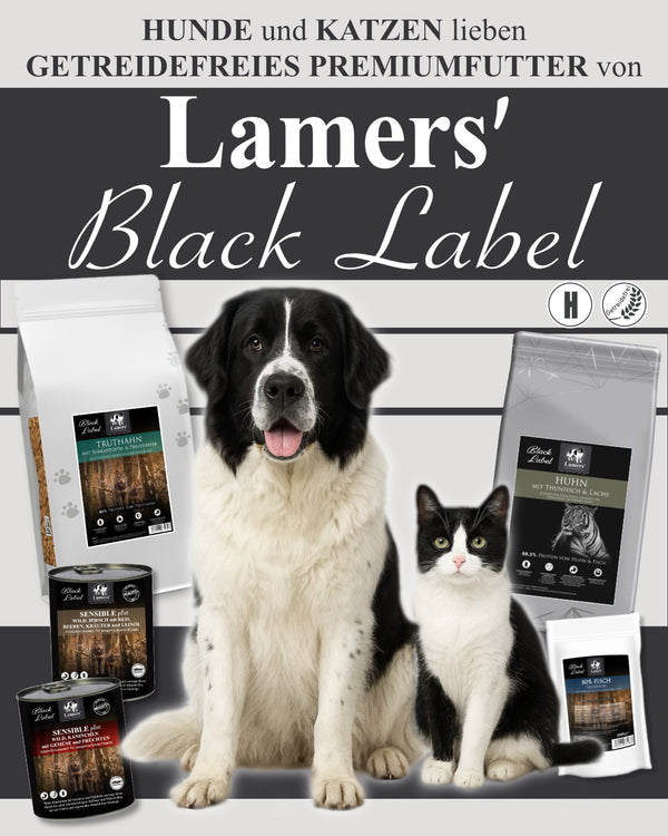 Plakat Lamers Black Label: Landseer und Katze neben Beuteln getreidefreiem Premiumfutter für Hunde und Katzen