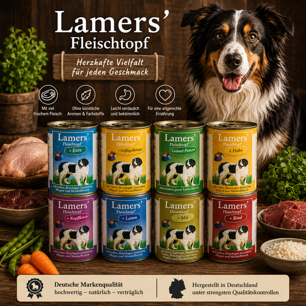 Lamers Fleischtopf: Hund hinter gestapelten Nassfutterdosen verschiedener Sorten