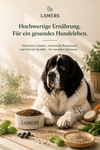 Lamers Futtermittelhandlung Hund Schwerte