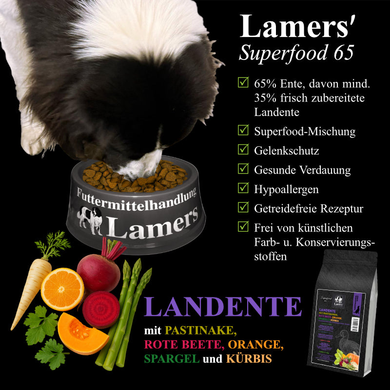 Landseer frisst aus einem Lamers-Napf, dazu Lamers Superfood 65 Landente mit Zutaten und Produktvorteilen