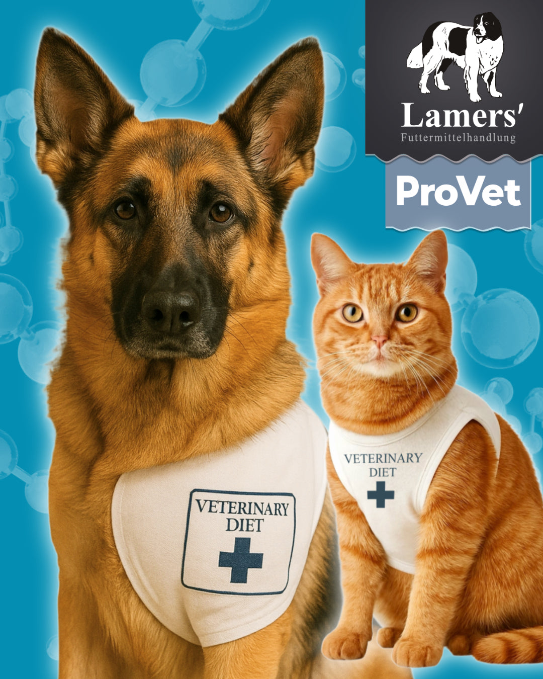 Lamers ProVet veterinary Trockenfutter Hund Katze