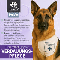 Lamers  ProVet Verdauungspflege
