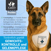 Lamers  ProVet Gewichtskontrolle & Gelenkpflege