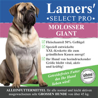 Lamers Molosser Giant (glutenfrei) Trockenfutter