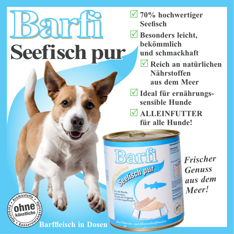 BARF Hundenassfutter mit Seefisch und Fischbrühe getreidefrei
