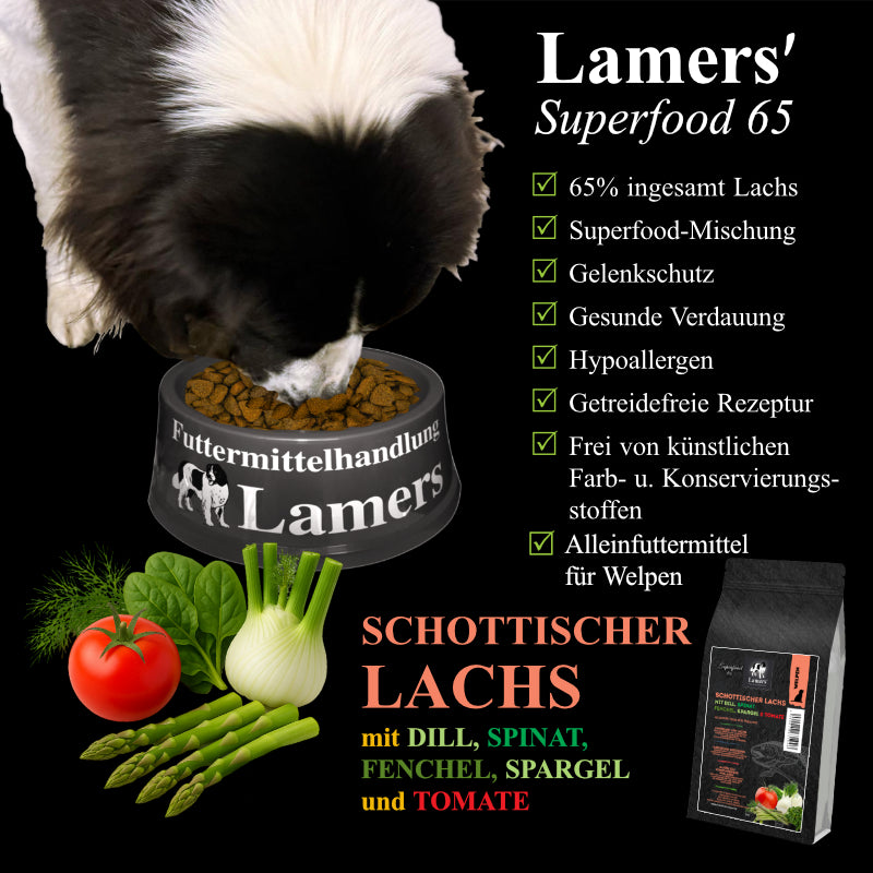 Landseer frisst aus einem Lamers-Napf, dazu Lamers Superfood 65 Junior Welpe Schottischer Lachs mit Zutaten und Produktvorteilen