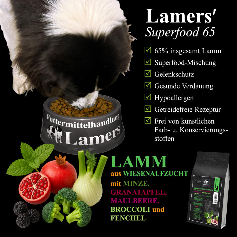 Landseer frisst aus einem Lamers-Napf, dazu Lamers Superfood 65 Lamm aus Wiesenaufzucht mit Zutaten und Produktvorteilen