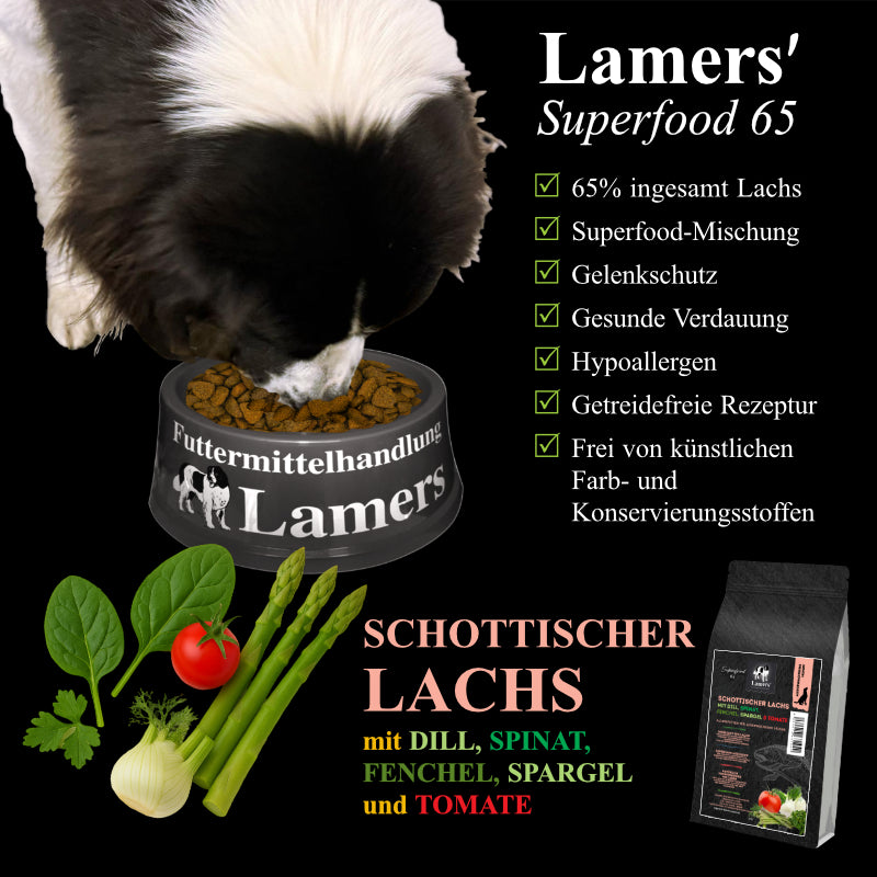 Landseer frisst aus einem Lamers-Napf, dazu Lamers Superfood 65 Schottischer Lachs mit Zutaten und Produktvorteilen